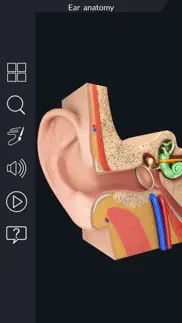 my ear anatomy iphone resimleri 4
