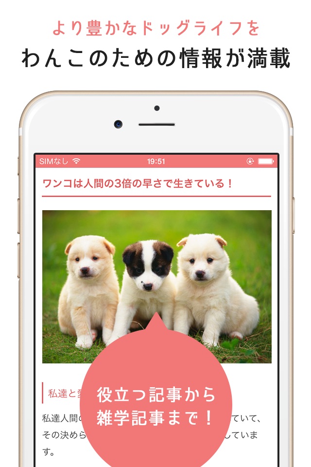 犬のニュースや飼い方の情報をまとめ読み -わんちゃんホンポ- screenshot 3