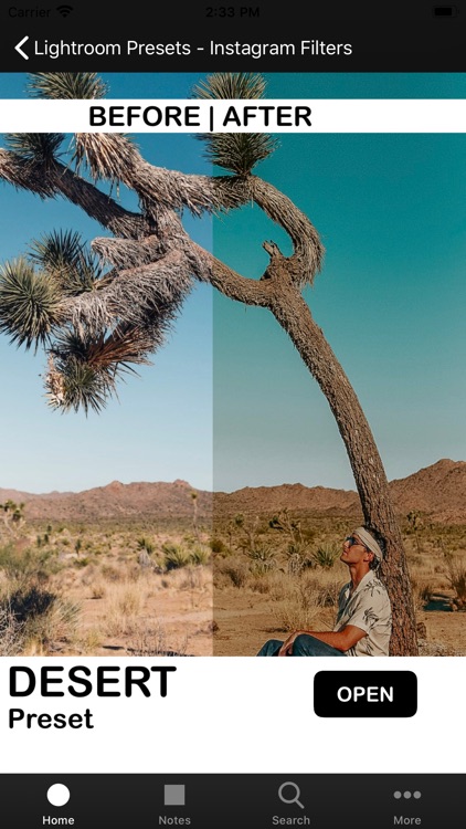 Presets for Lightroom - TameCo screenshot-5