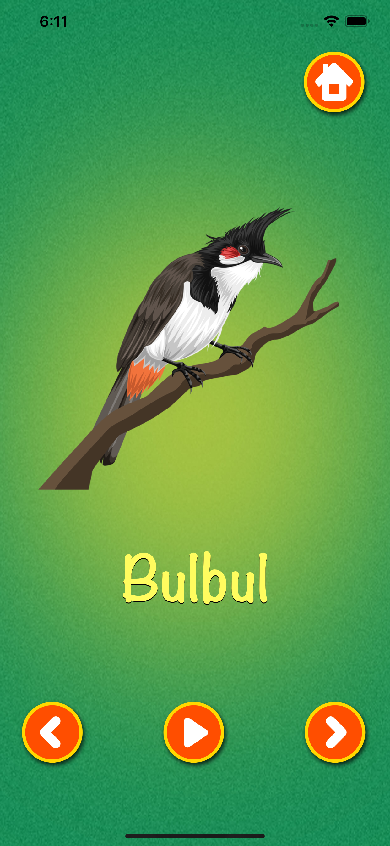 Learn about Birds