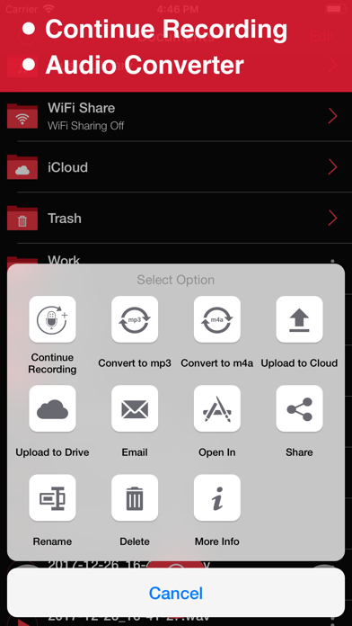 How to cancel & delete Recorder Lite: Voice Recording from iphone & ipad 3