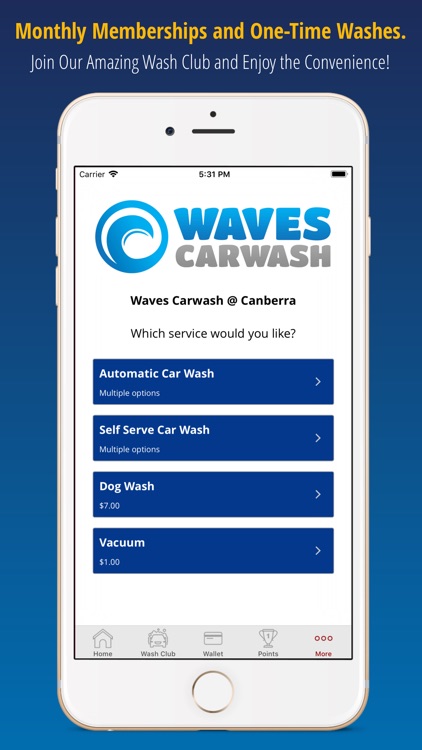 Waves Car Washes