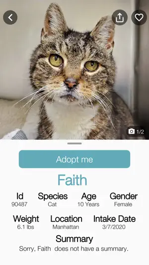 ACC of NYC screenshot 3