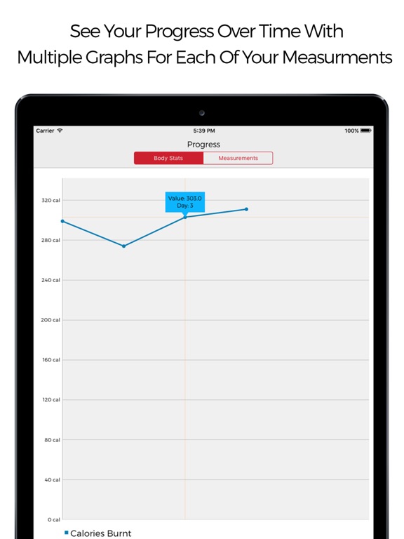 25 Minute Workout Tracker iPad screenshot 5 - Health & Fitness app