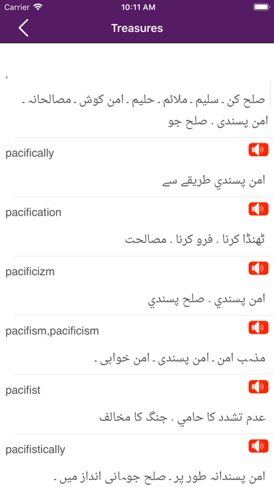 English to Urdu Dictioanary screenshot 3