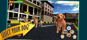 Zoro Pet Dog Race screenshot #3 for iPhone