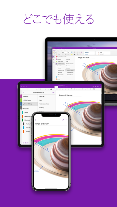 Microsoft OneNote screenshot1