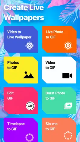 Game screenshot Giftize - Gif Maker & Meme Cam mod apk