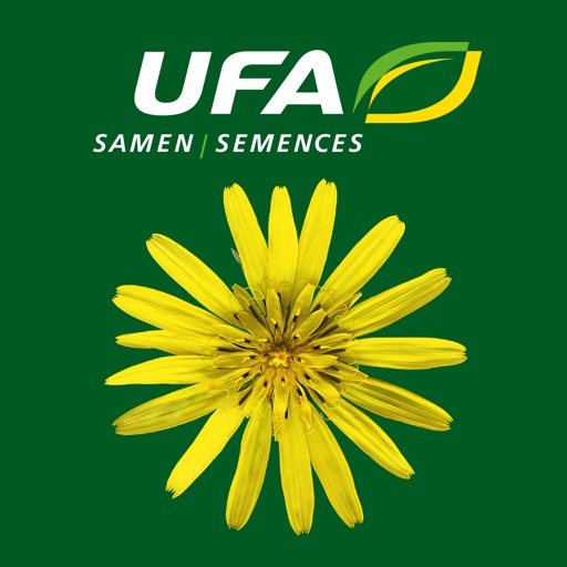 UFA Wildblumen