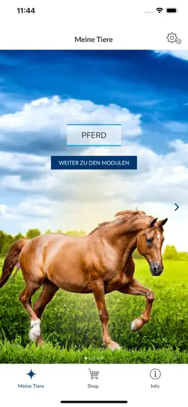 Game screenshot Vetmedica App mod apk