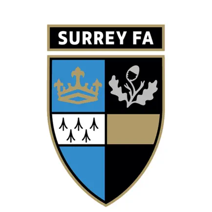 Surrey FA Cheats
