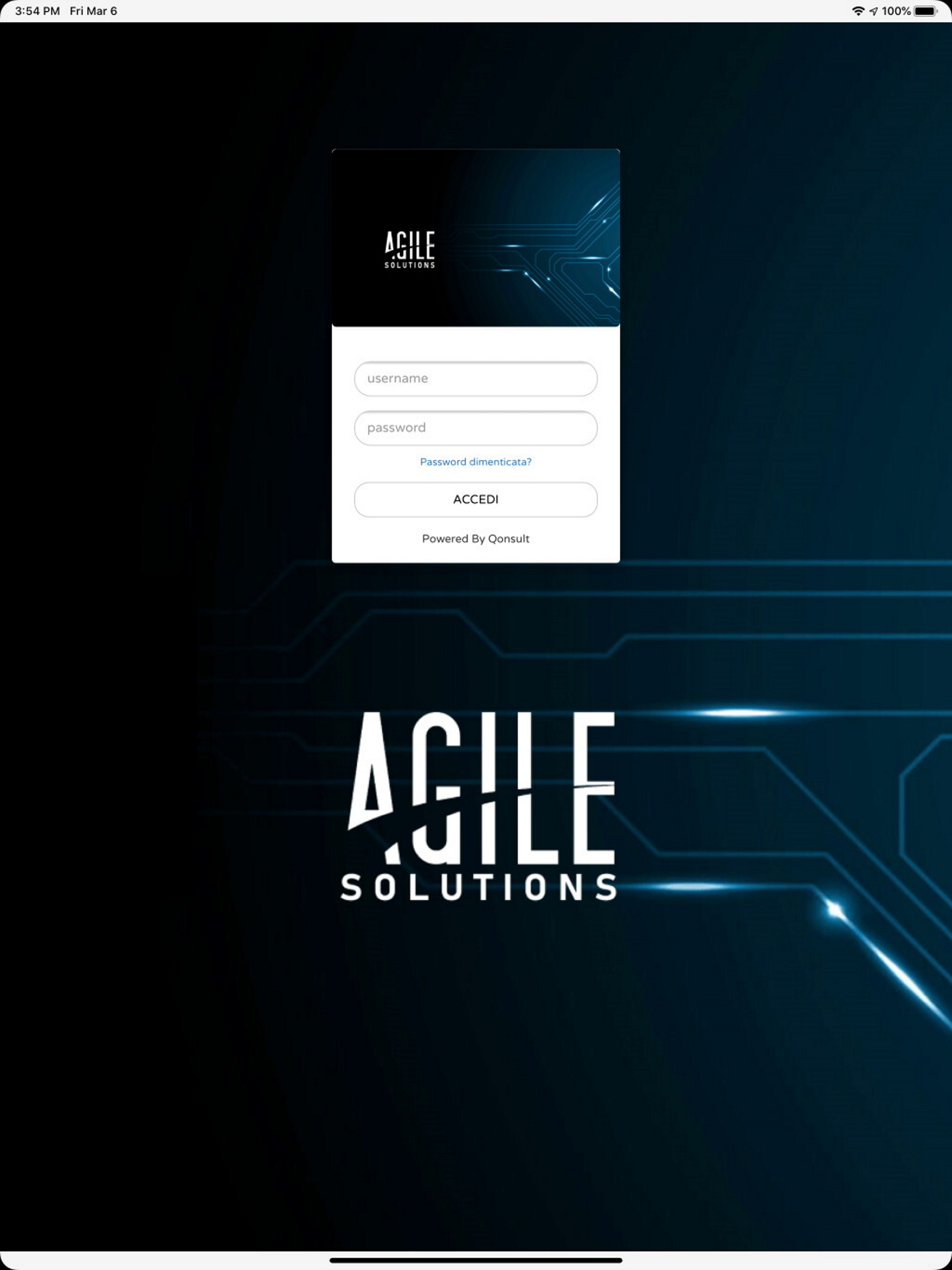 Agile Digitalization Process
