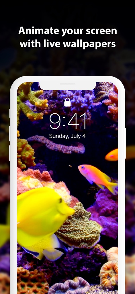 Live Wallpaper ∘ for Me - See how the app transforms the lock screen with a vibrant aquatic theme, featuring colorful fish and intricate coral, alongside the clear time and date display.