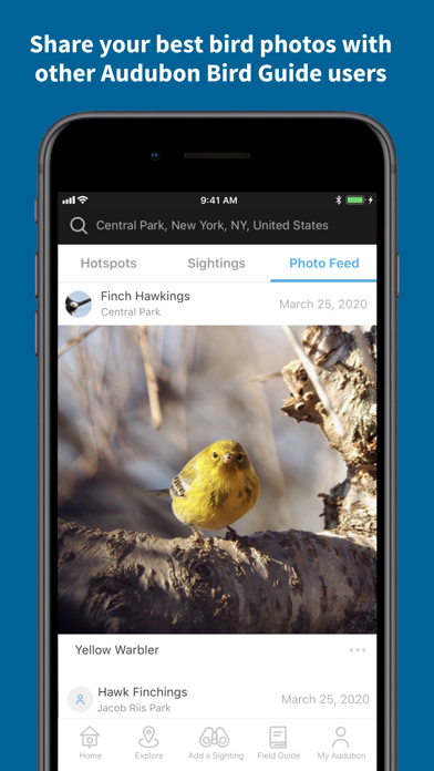 Audubon Bird Guide Screenshot