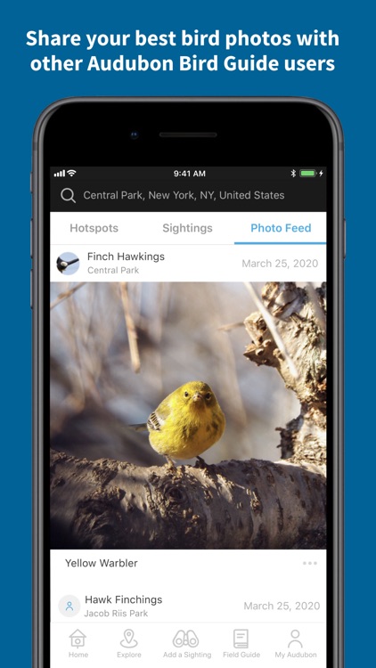 Audubon Bird Guide screenshot-4