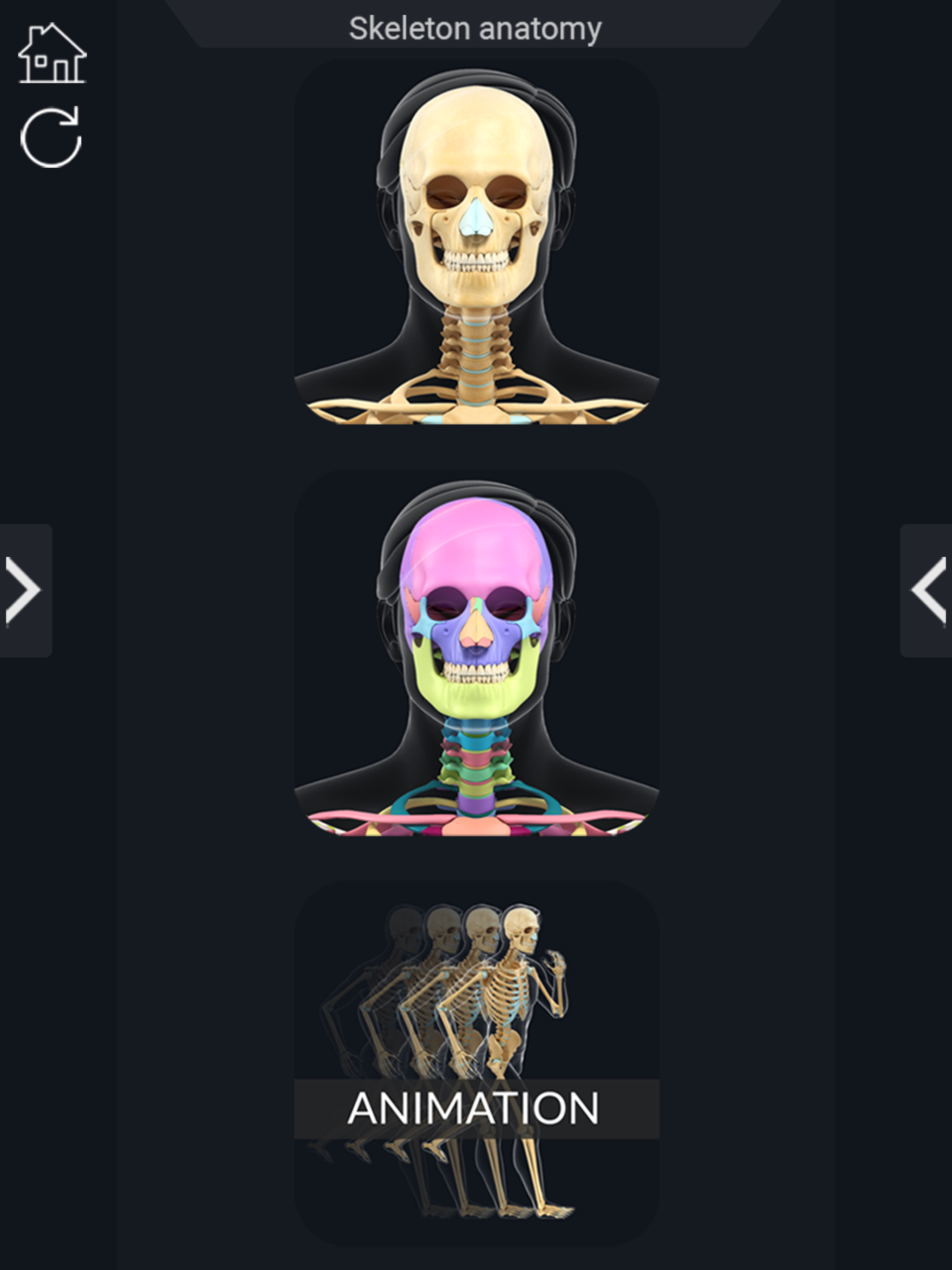 AR Skeleton Anatomy