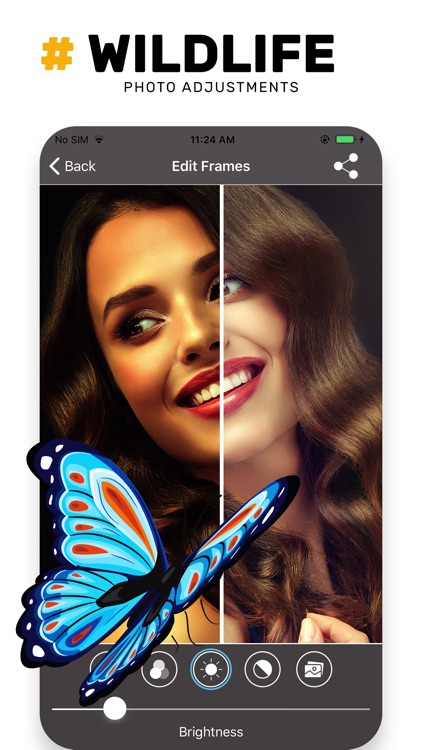 Wildlife Photo Frame Unlimited