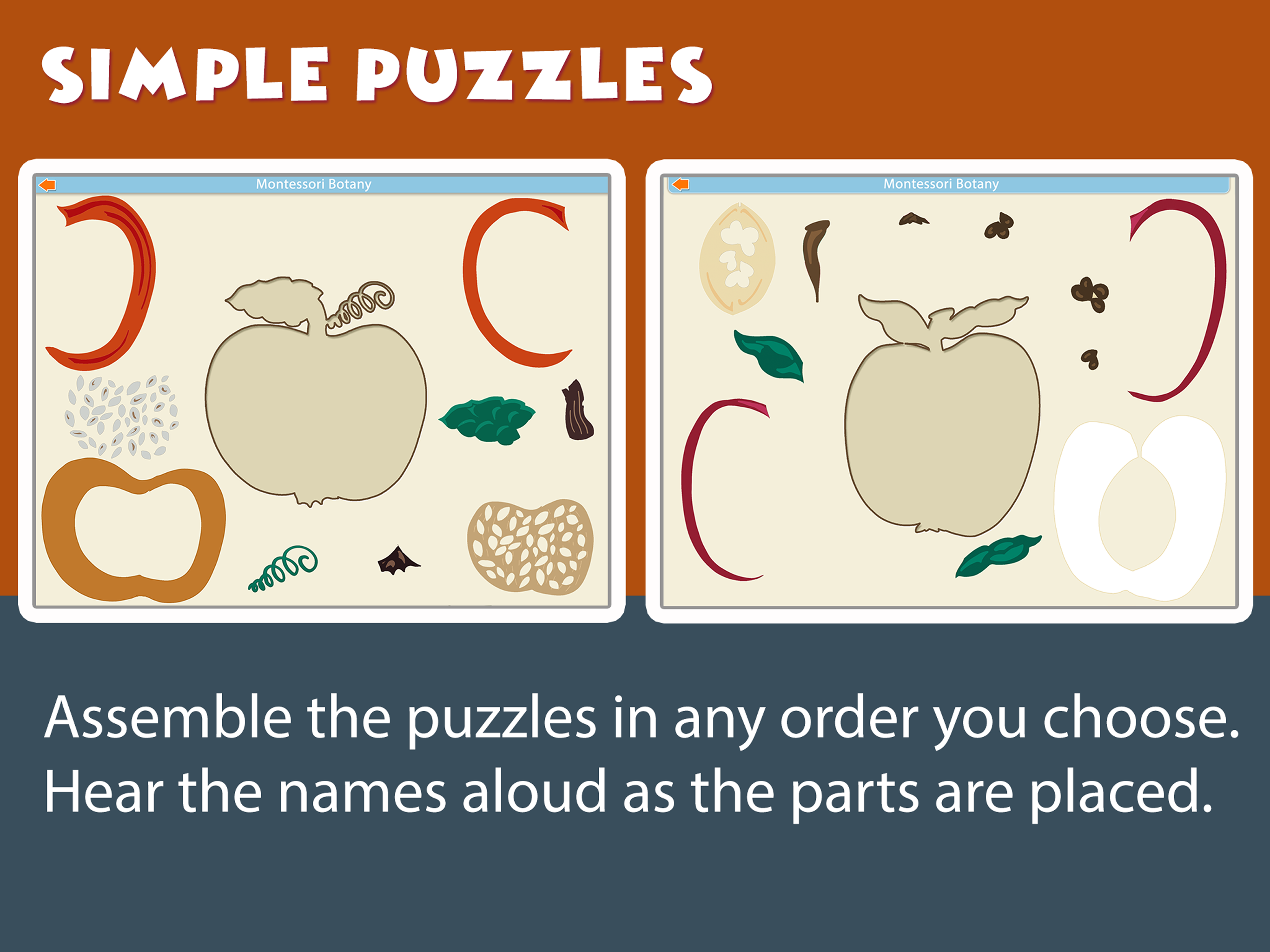 Montessori Parts of Fruits screenshot 12