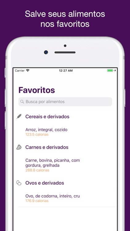 Tabela IBGE de Alimentos screenshot-4