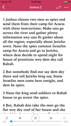 Pidgin Audio Bible screenshot 3