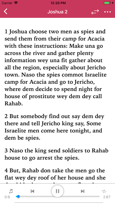 Pidgin Audio Bible Screenshot