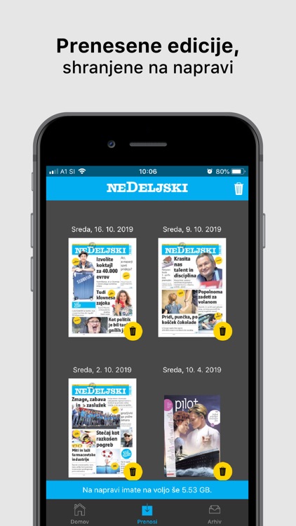 Nedeljski dnevnik