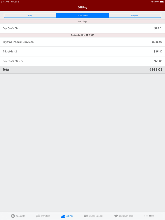 Wauna CU iPad screenshot 6 - Finance app
