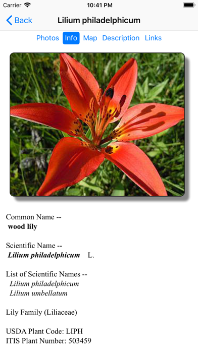 Screenshot #3 pour Minnesota Wildflowers