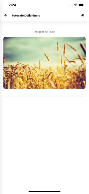 PhD em Soja(圖7)-速報App