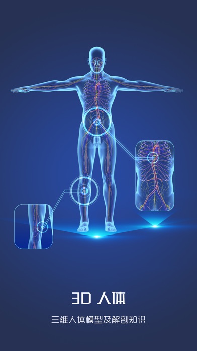人体解剖学-骨骼和肌肉-生物学考试必备のおすすめ画像1
