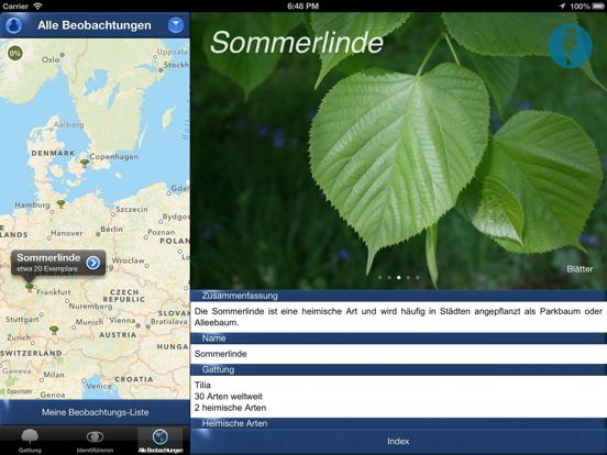 Screenshot #6 pour Baum Id Schweiz - Naturführer