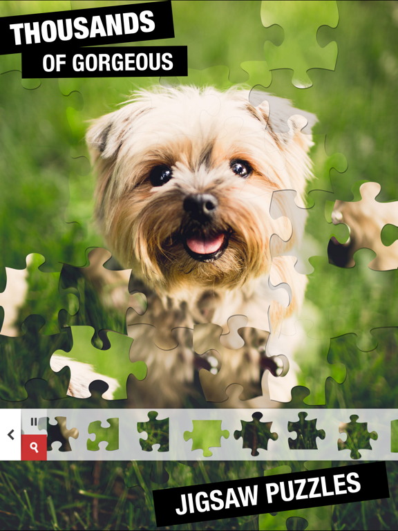 Screenshot #4 pour Jigsaw Puzzles ST