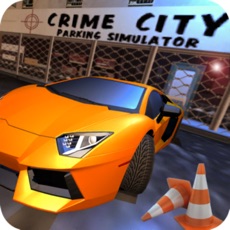 Activities of Crime City Parking Simulator