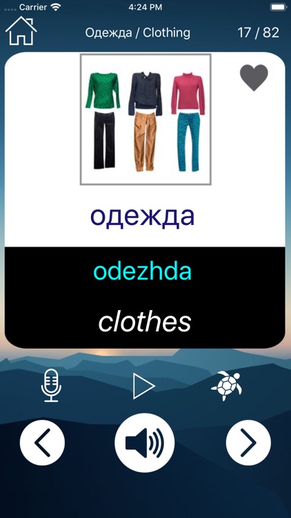 Russian Vocabulary & Phrase screenshot-3