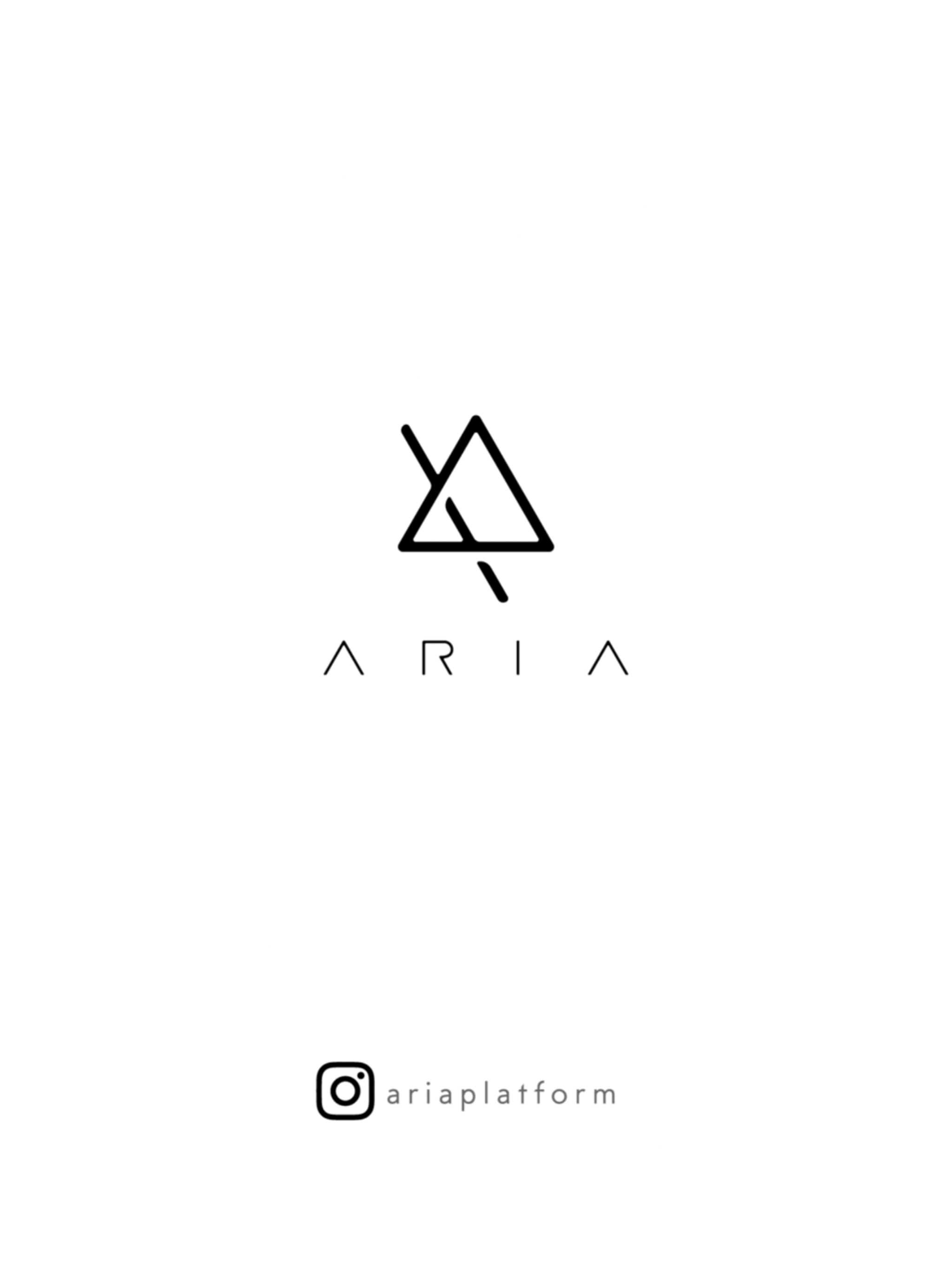 Aria The AR Platform