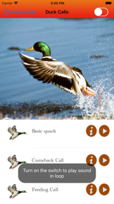 Hunting calls full - screenshot