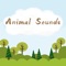 Our app has built-in sounds for many kinds of animals