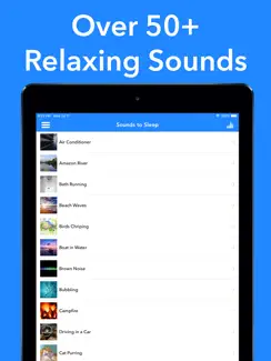 Sound Machine + iPad image 2