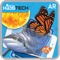 Vivitar KidsTech AR is an application which supports AR and VR interactive learning