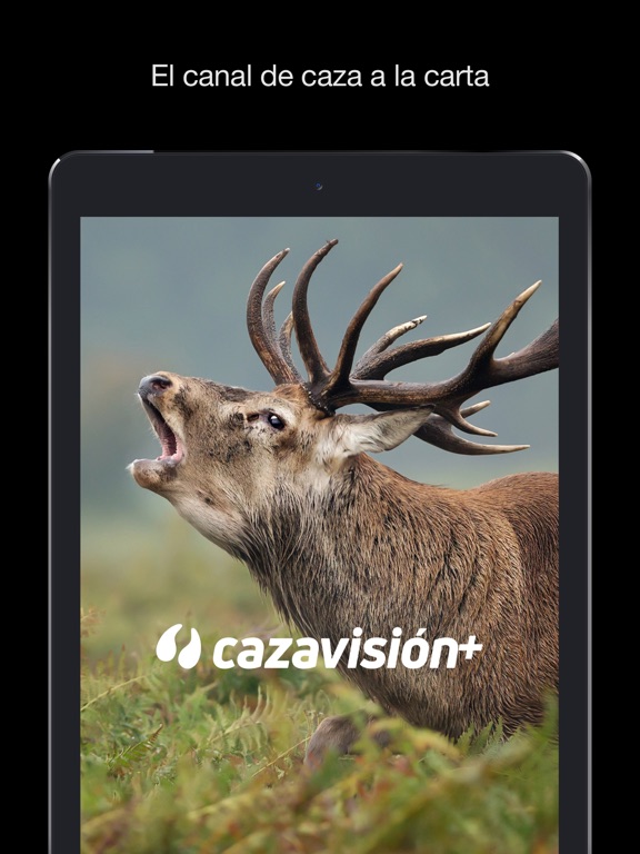 Screenshot #4 pour Cazavisión+
