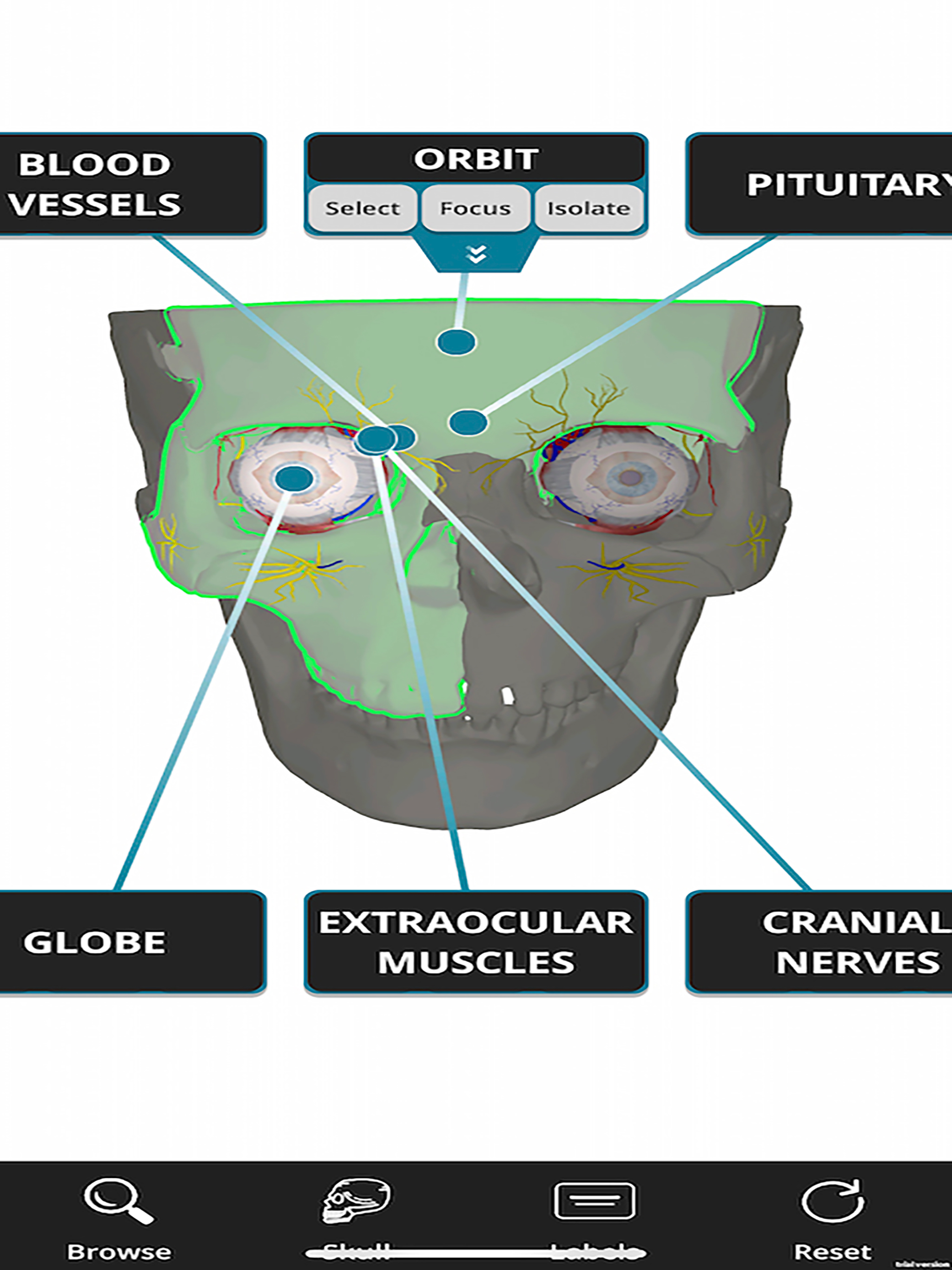 OculAR SIM