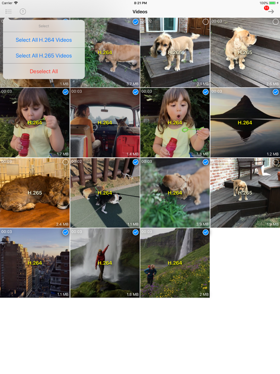 Screenshot #5 pour H.265 : H.264 Cross Converter