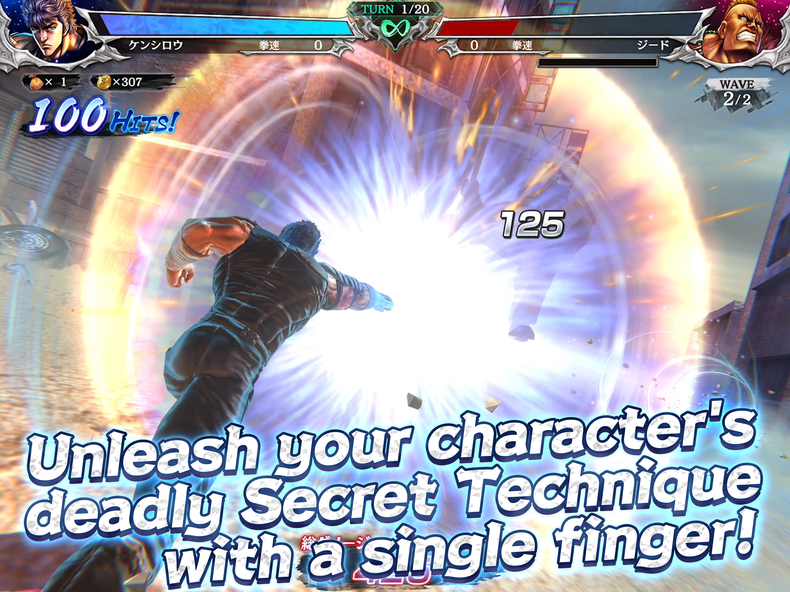 FIST OF THE NORTH STAR