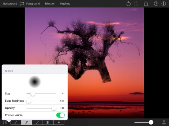 PhotoPatch Pro iPad screenshot 5 - Photo & Video app
