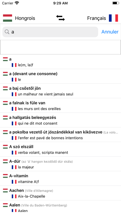 Dictionnaire Hongrois-Français Screenshot