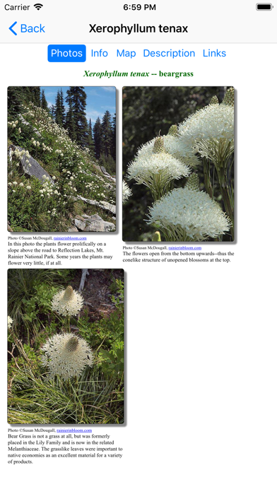 Olympic Wildflowers Screenshot
