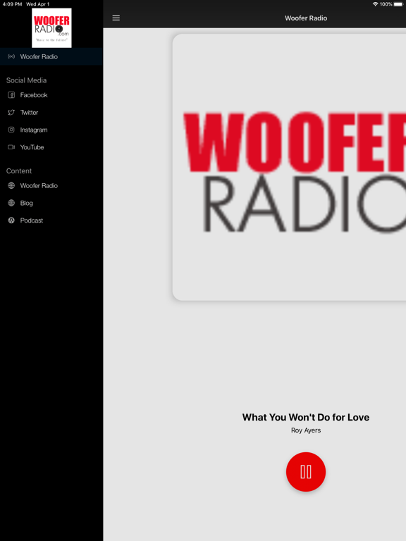 Screenshot #5 pour Woofer Radio Player