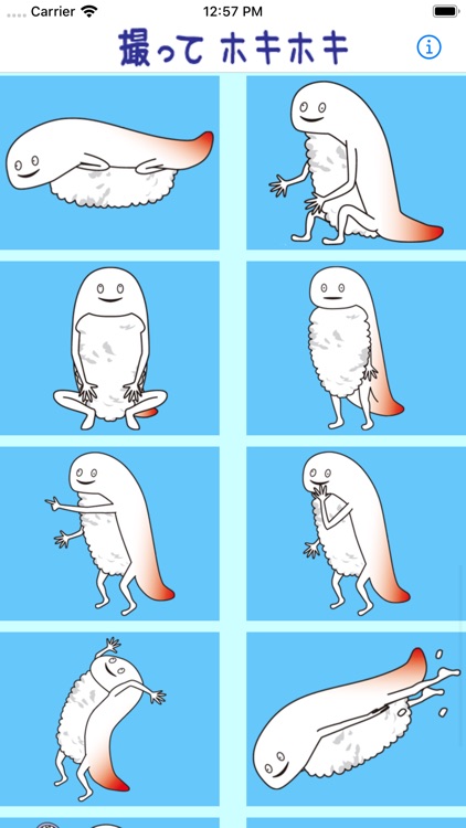 Hoki Hoki Camera screenshot-4