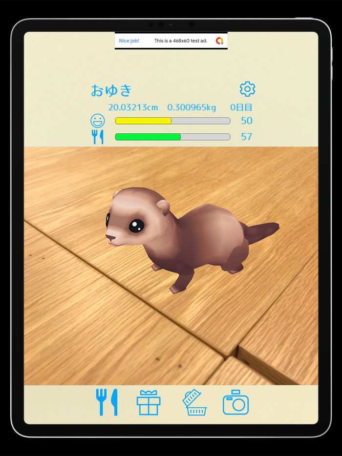 フェレットといっしょ