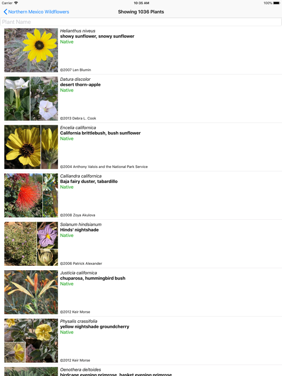 Screenshot #5 pour Northern Mexico Wildflowers